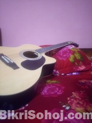 Acoustic Guitar